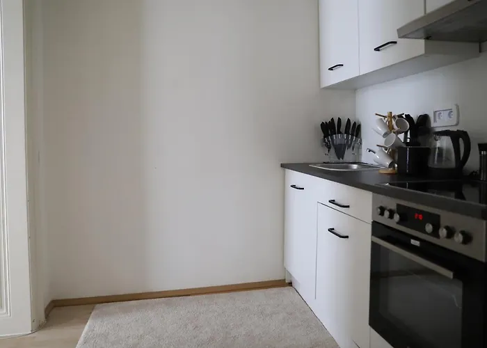 Spacious Apartment, 3 Min To U6 Alserstrasse *