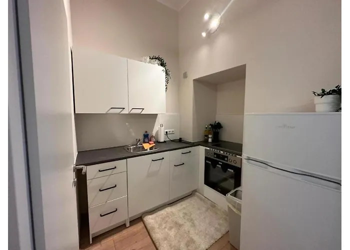 Apartment Spacious Apartment, 3 Min To U6 Alserstrasse Wien