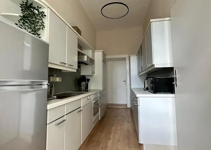 Spacious Apartment, 3 Min To U6 Alserstrasse *