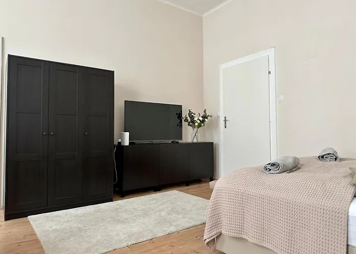 Spacious Apartment, 3 Min To U6 Alserstrasse Apartment
