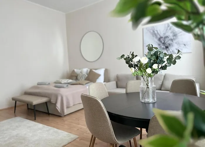 Spacious Apartment, 3 Min To U6 Alserstrasse *