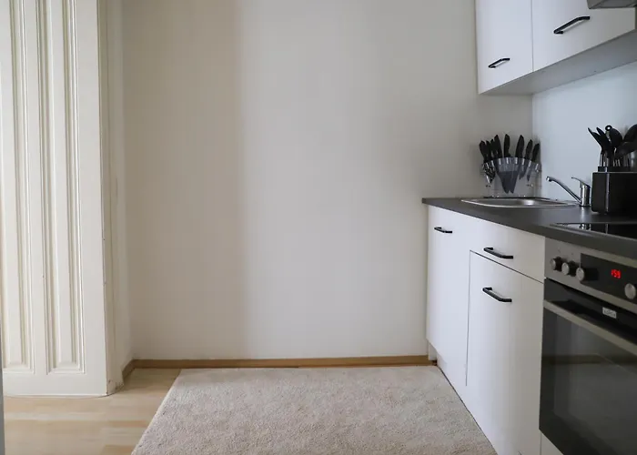 Spacious Apartment, 3 Min To U6 Alserstrasse *